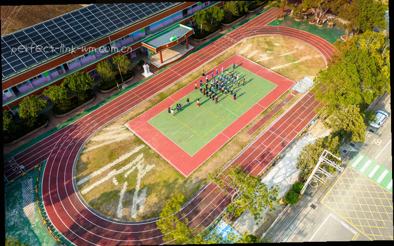 两场比赛的球场半区拼接抽象图